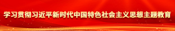 骚骚的网站用大鸡巴操女生的逼逼学习贯彻习近平新时代中国特色社会主义思想主题教育